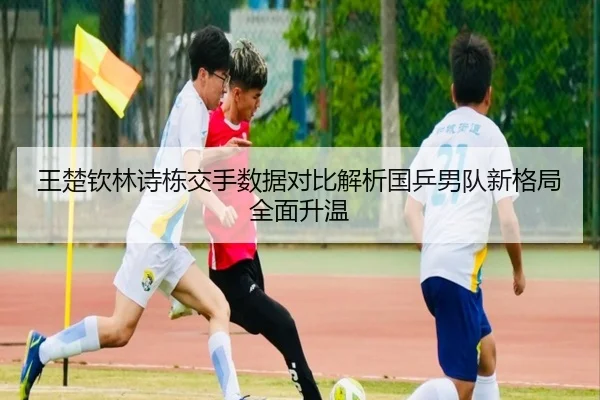 王楚钦林诗栋交手数据对比解析国乒男队新格局全面升温